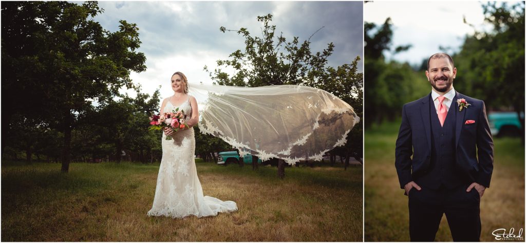 Bridal and groom portrait in orchard of Merridale Cidery
